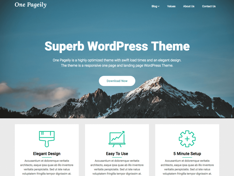 One Pageily WordPress Theme