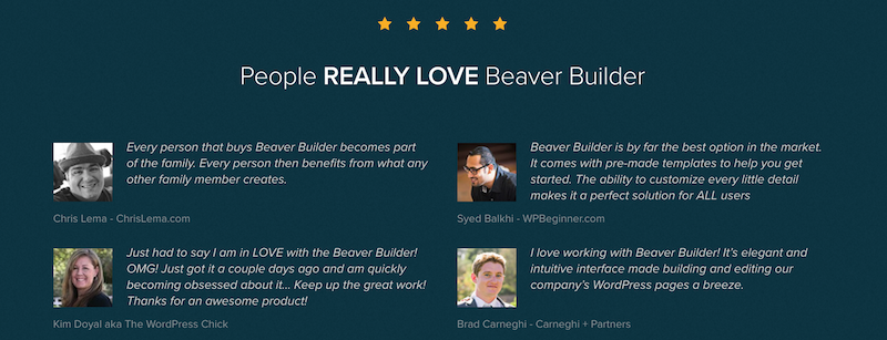 Advantages of Paying for Beaver Builder