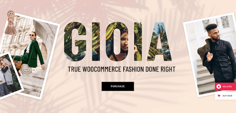 gioia wordpress theme for eCommerce websites