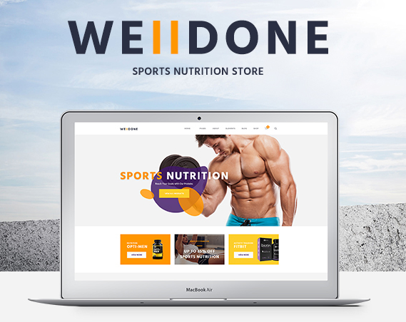 well done wordpress theme for eCommerce websites