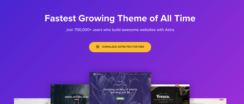 Astra is the second most used WordPress theme