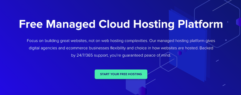 If you go with free hosting, you can't also expect the team to be experts with cloud technology.