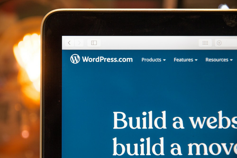 Best Free WordPress Writing Plugins for Beginners