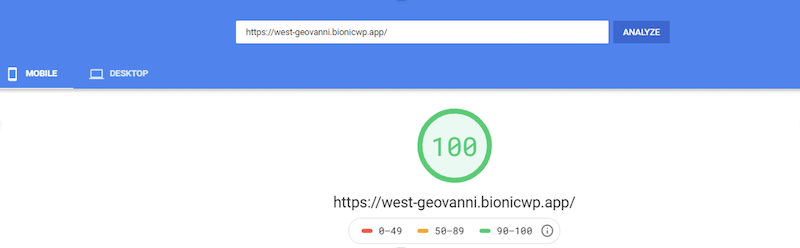  BionicWP Google Page Speed